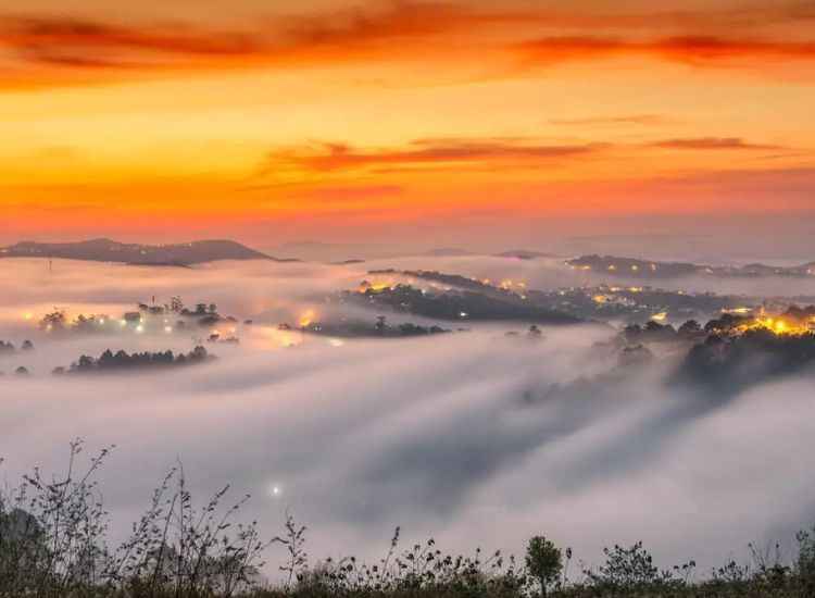 Giải đáp thắc mắc thường gặp khi du lịch Đà lạt tour săn mây Đà Lạt 3