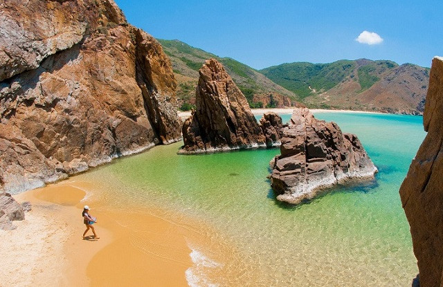 Tour Tết 2026 Quy Nhơn 3