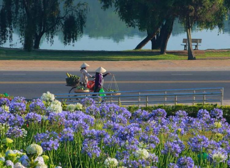  tour tham quan Đà Lạt Tết 2026 1