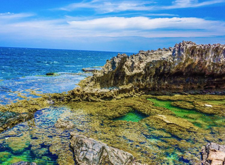 tour Vĩnh Hy Tết 2026 giá rẻ 3