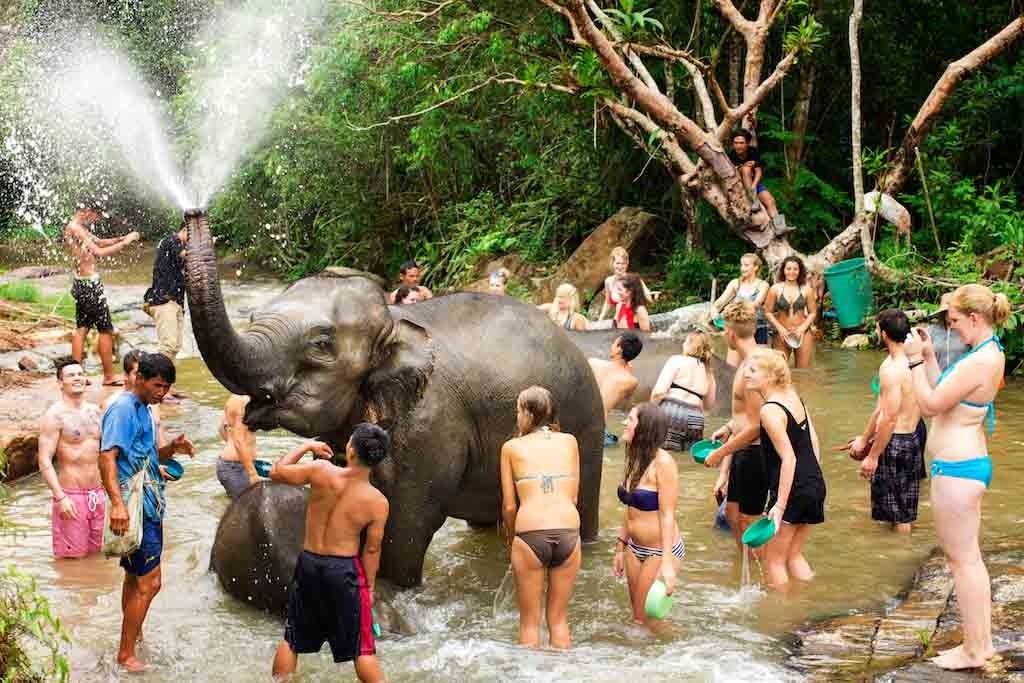 Trại voi Trại voi