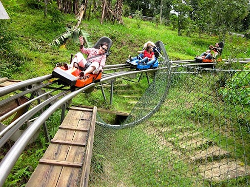 du lịch Đà Lạt 2 ngày 1 đêm - trải nghiệm đường trượt băng rừng