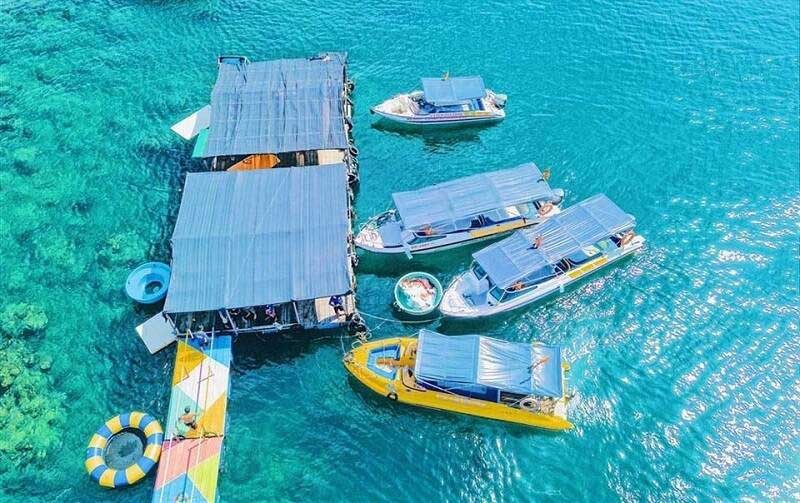 Vài nét về bãi dưa Quy Nhơn