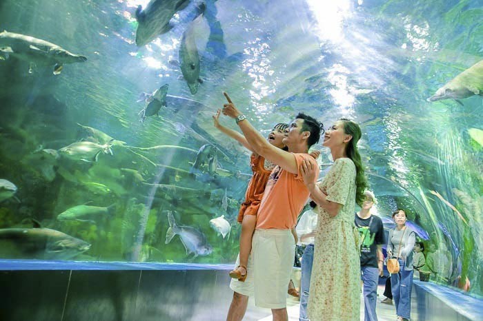 vien-hai-duong-hoc-nha-trang