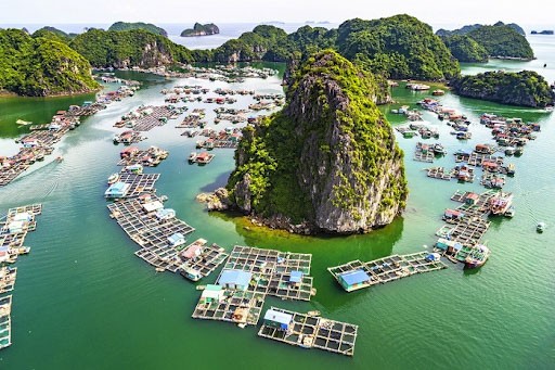 Vịnh Lan Hạ 