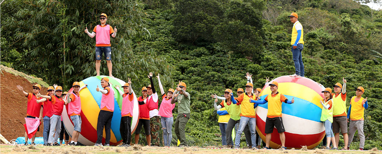 tổ chức teambuilding giá rẻ