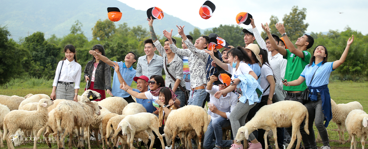tổ chức tour đoàn giá rẻ 6