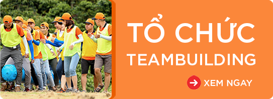 tổ chức teambuilding chuyên nghiệp