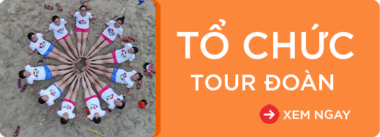 tổ chức tour đoàn giá rẻ